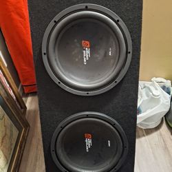 Subwoofer 12 Inch 