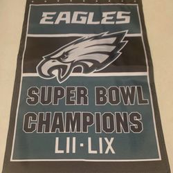 Philadelphia Eagles Super Bowls Garden Flag