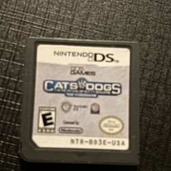DS NINTENDO GAME