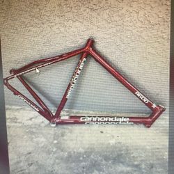 Cannondale Bike Frame