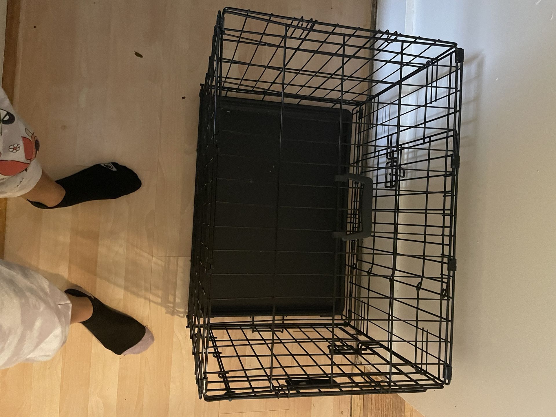 Dog Cage 