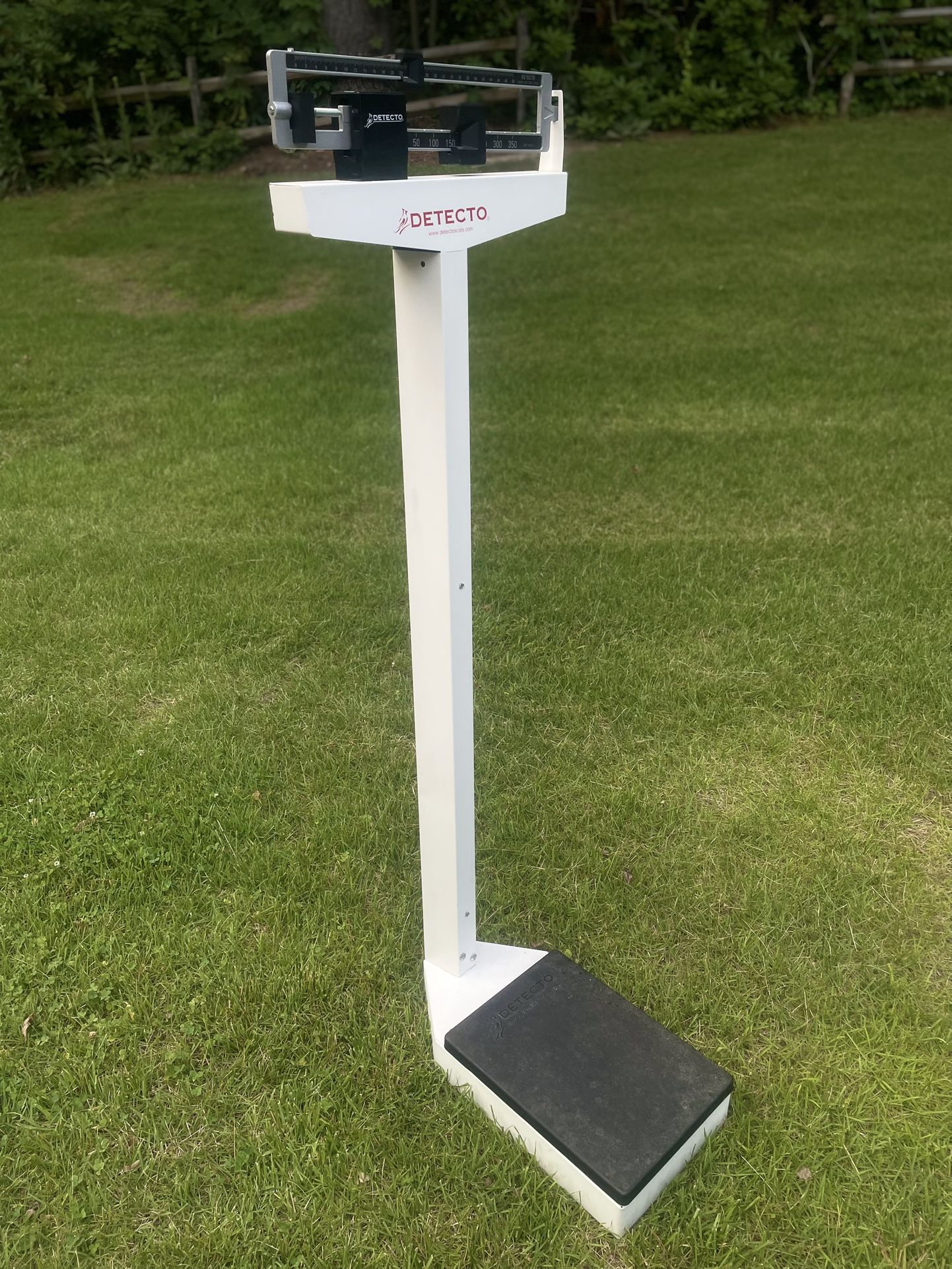 Commercial Scale
