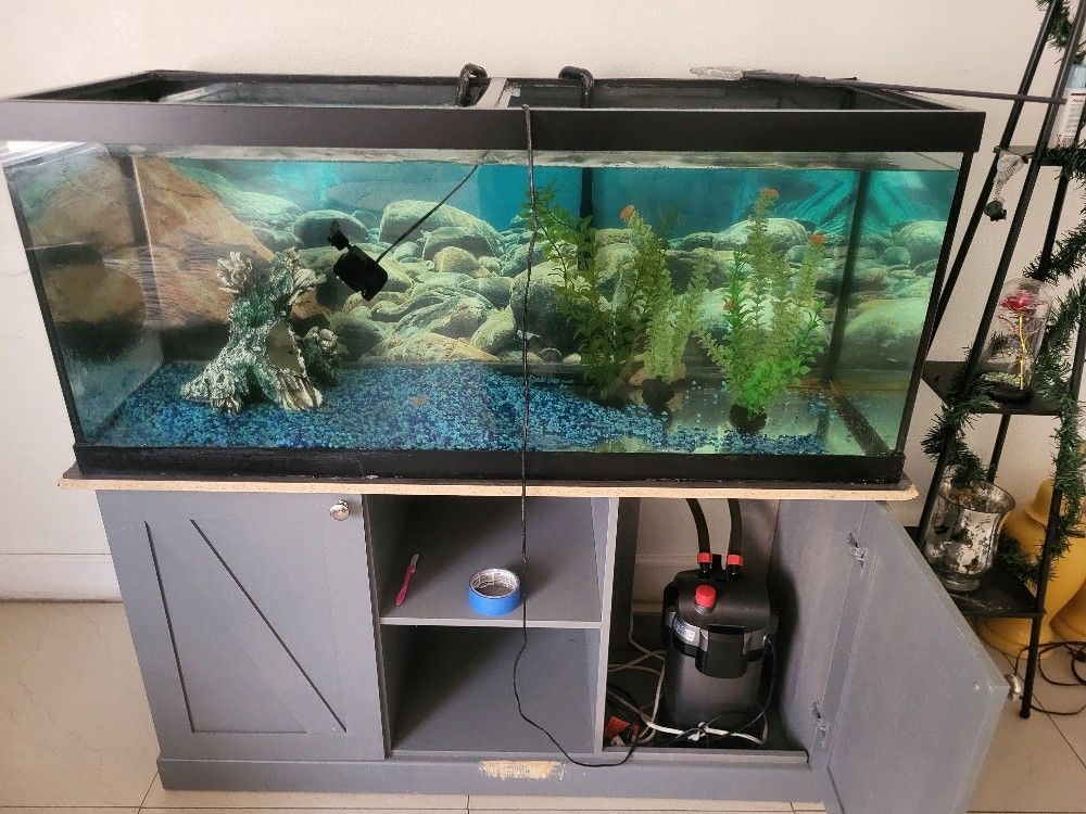 75 Gallon Tank And Stand With Filter