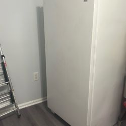 Upright Freezer 