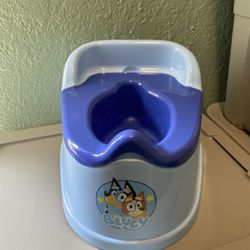 Bluey Potty Training
