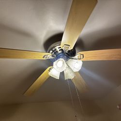 Ceiling Fan And Lights