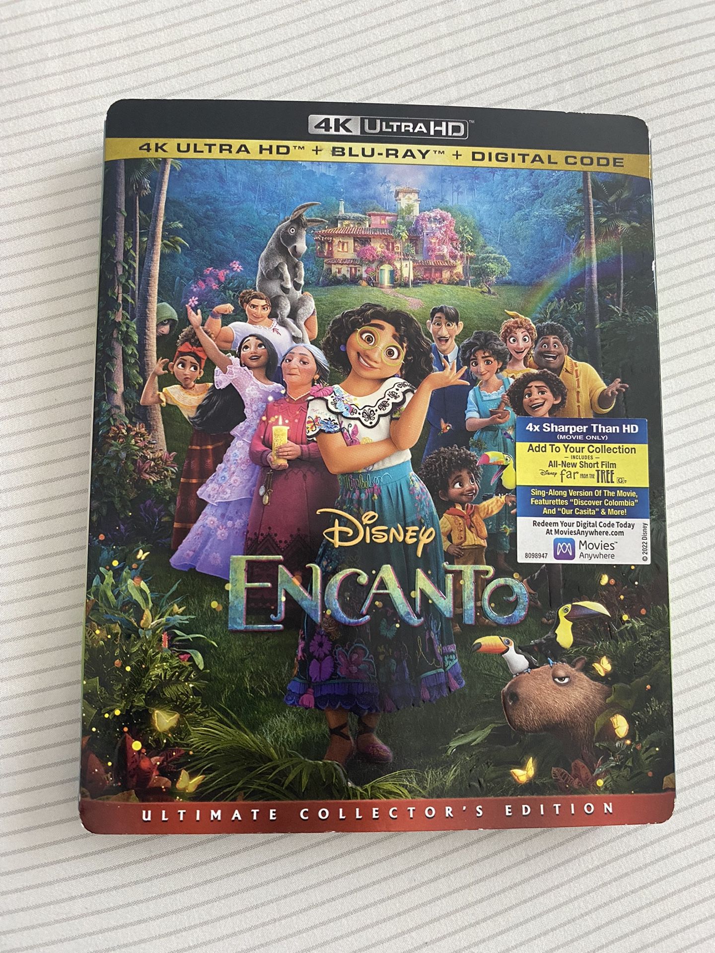 Disney Encanto DVD 