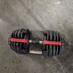 1 adjustable weight up to 52 lbs