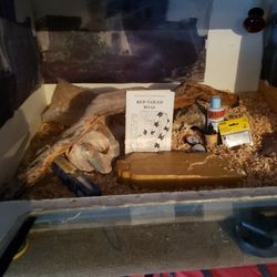 Custom Design Snake 🐍 Cage. 