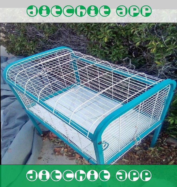 determine heart Tough Metal Dog Crates - Dependable and Secure