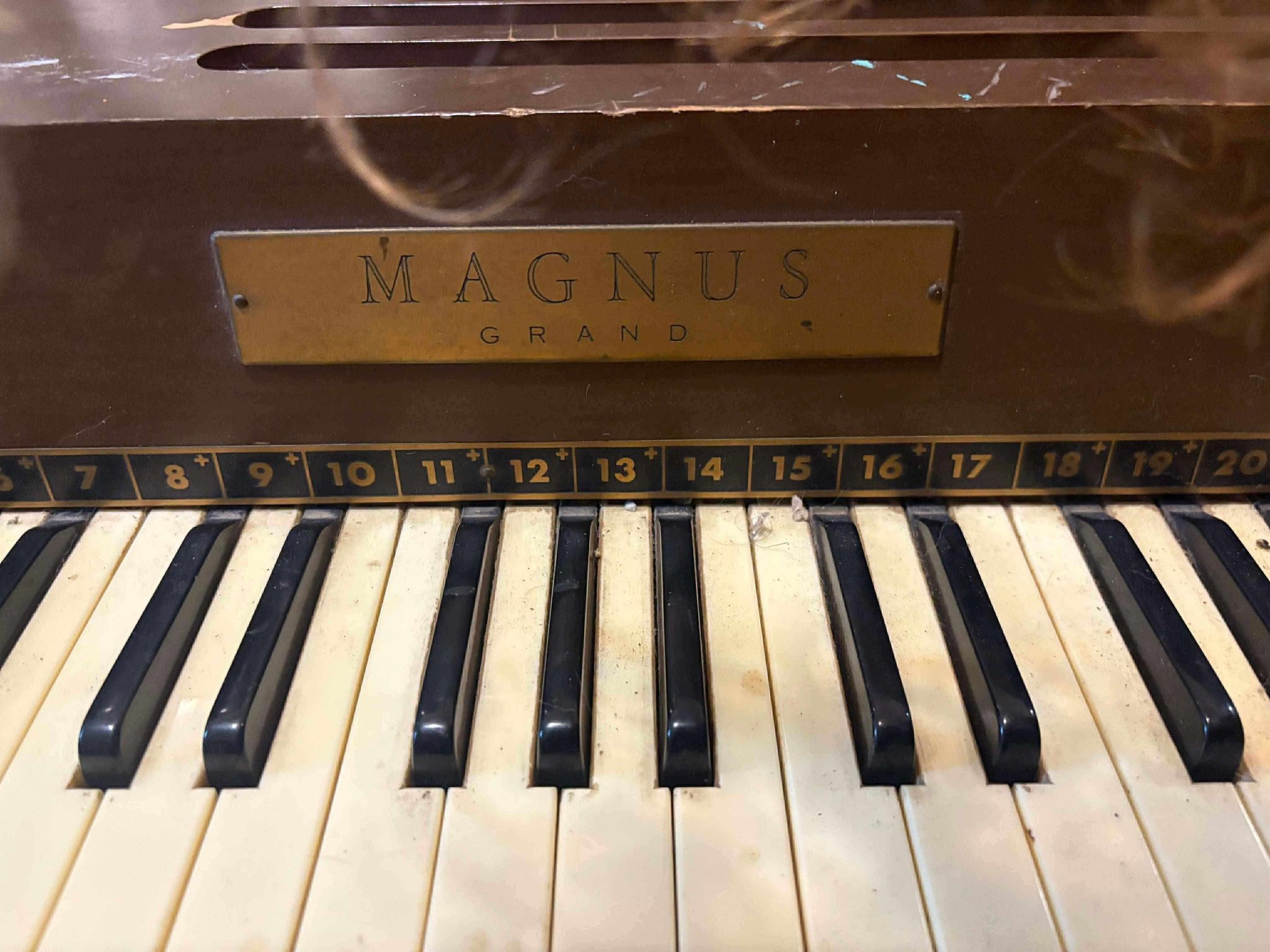 Organ