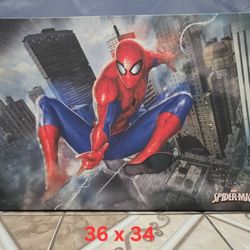 Spider-man LARGE Canvas
