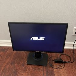 Asus Monitor 