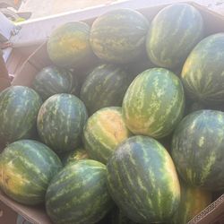 Watermelon for sale