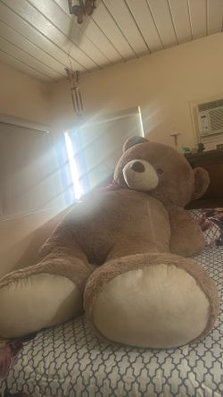 Giant Bear