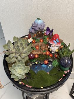 Cecilia’s garden
