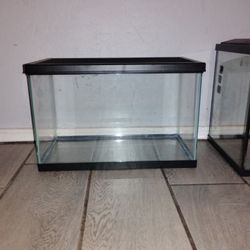 Fish Tank 