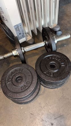 1 dumbbell w/ extra weights