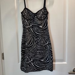 Zara zebra mini dress
