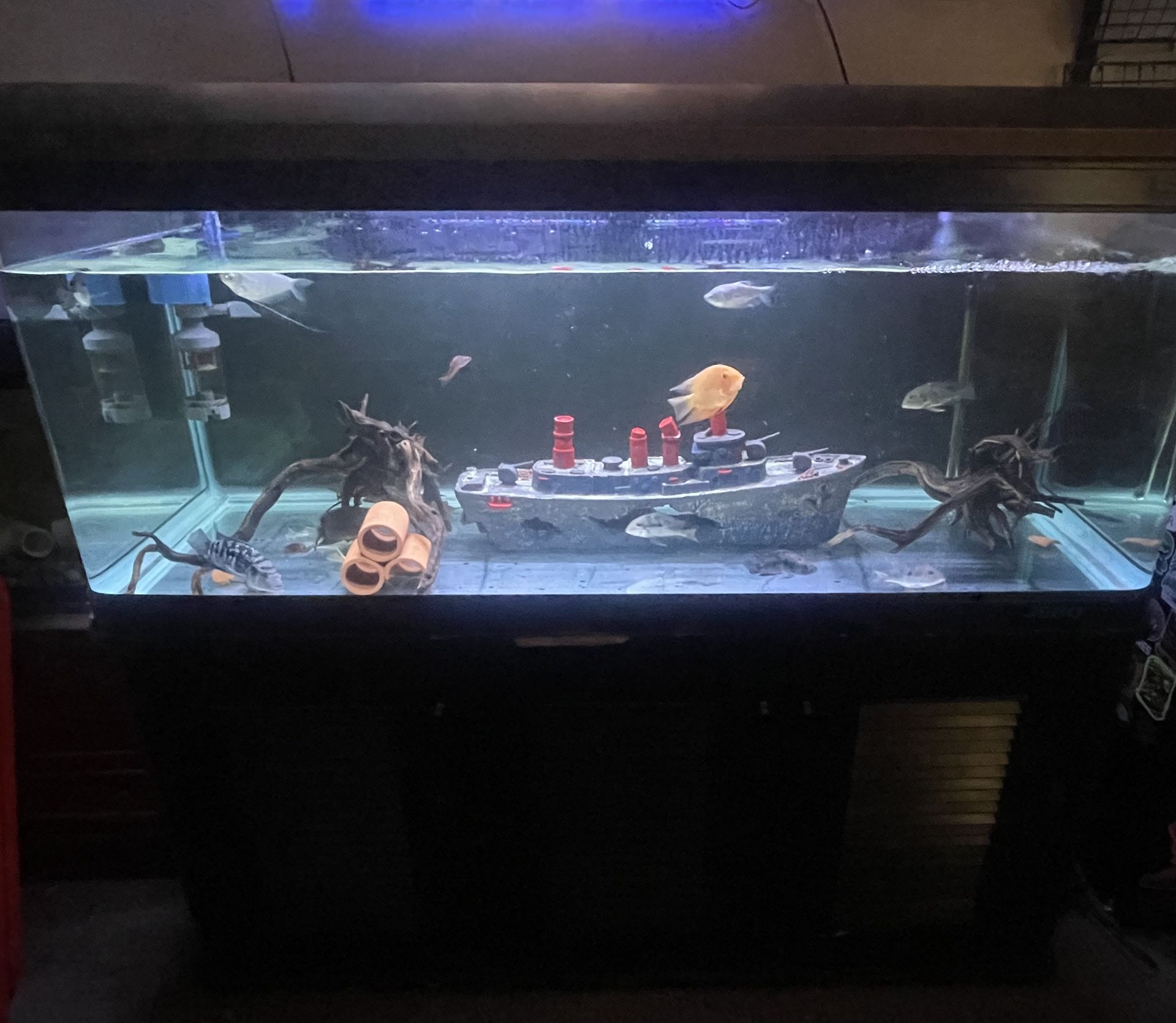 Fish Tank With Stand 