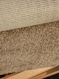 Carpet
