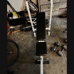 Workout/bench/leg Press/bench Press