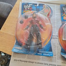 Wrestling Fans Will Enjoy 