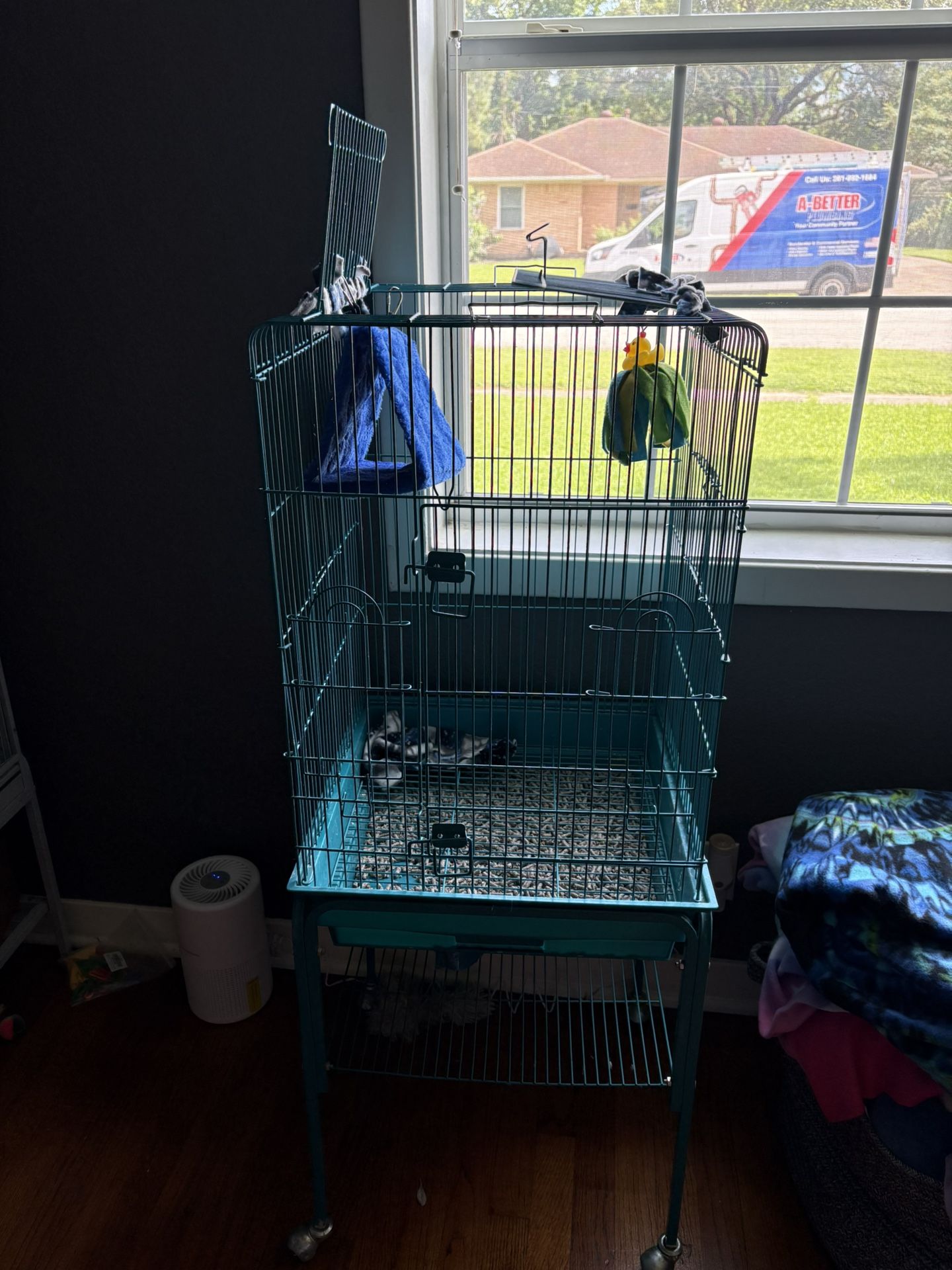 Bird Cage