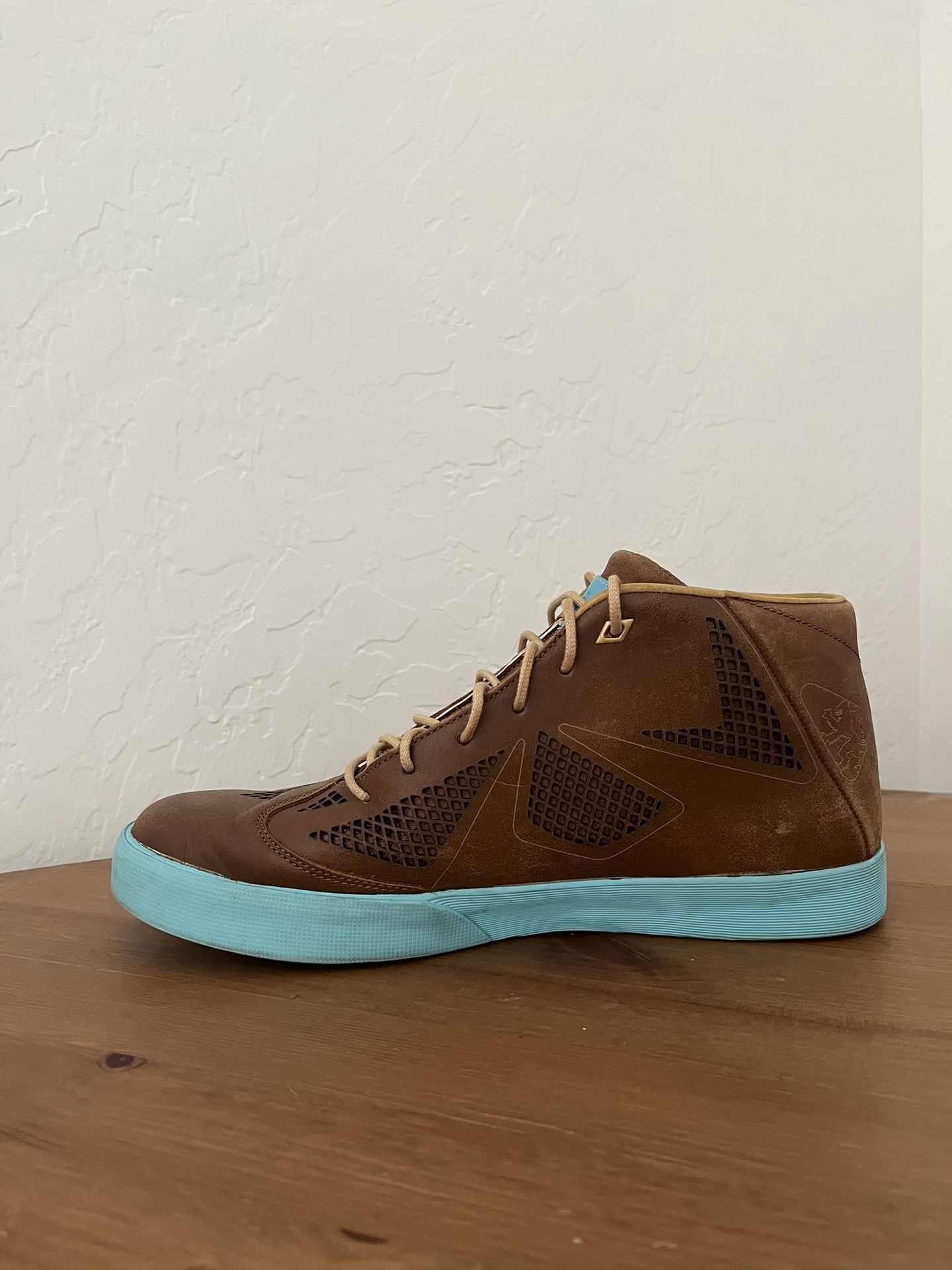 Nike Lebron X NSW Lifestyle Sz 11