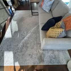 Tottori Handwoven Grey Area Rug 6’x9’