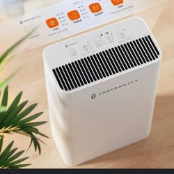 TaoTronics Hepa H13 Air Purifier + Large Room 500 SF TT-A002