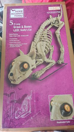 5ft Skeleton Cat LED Halloween Decoration