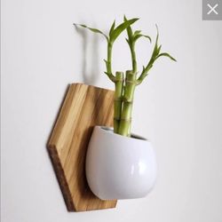 Cropmade® Full Circle Sustainable Planter Bundle