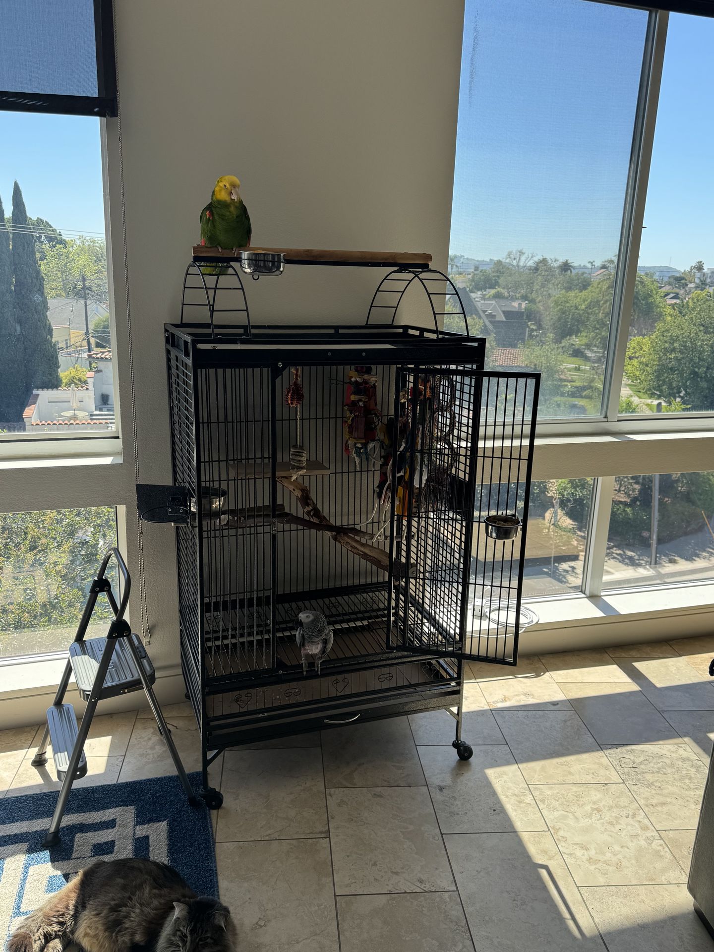 2 XL Parrot Bird Cages – Play Top + Standard – Clean – $100–$140