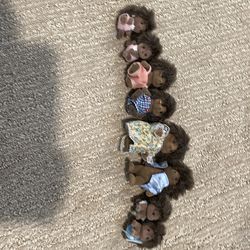 Calico critter animals and furniture