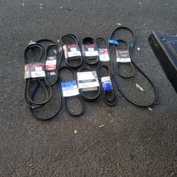 Brownie Drive And V Belts All Sizes