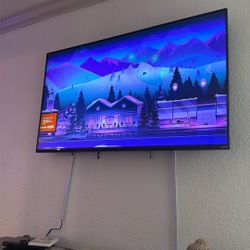 65 Inch With Mount 