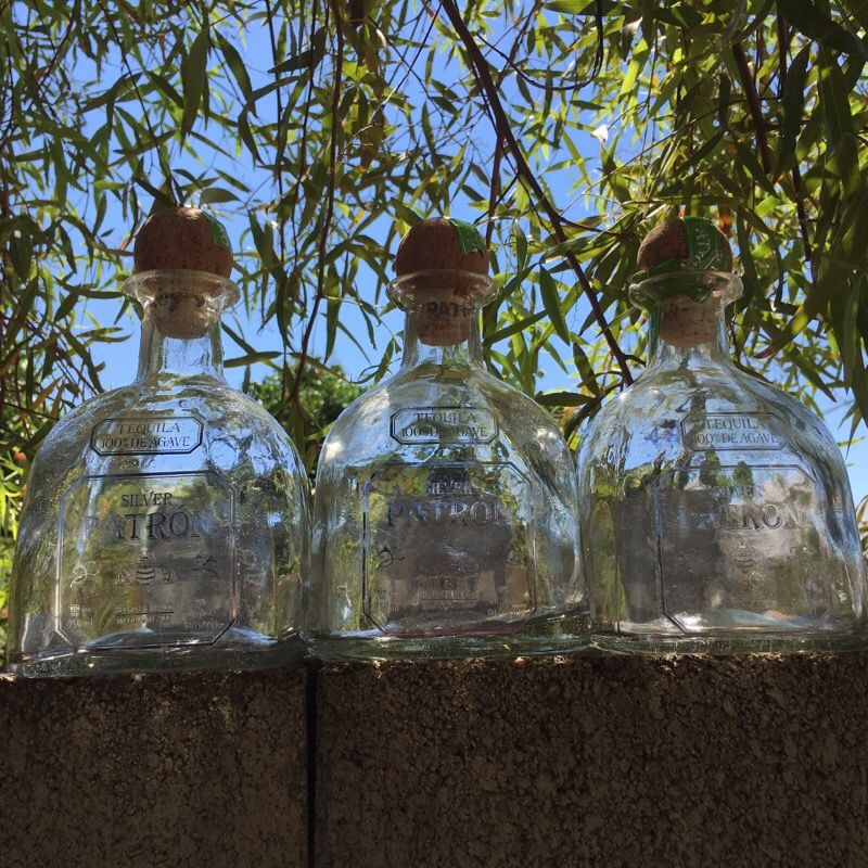 Empty Patron bottles for sale-many uses.