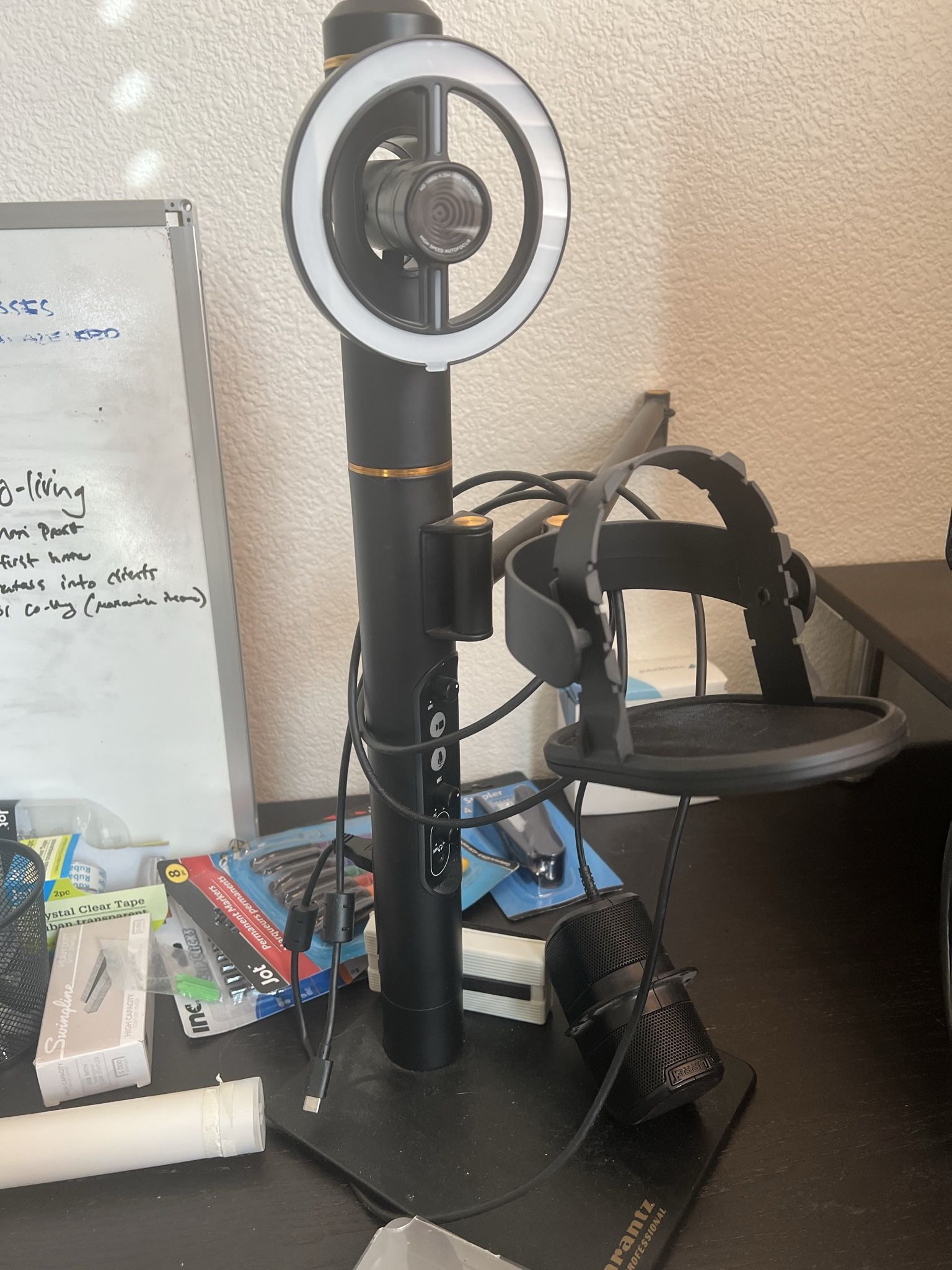 Professional Podcast Mic