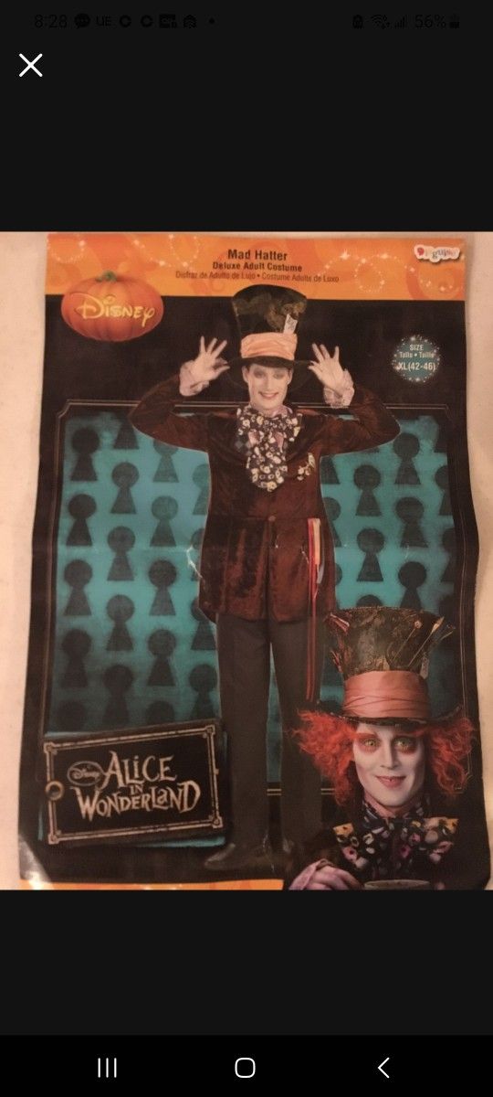 Mad Hatter Costume