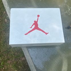 Olympic Air Jordan 6s Size 11