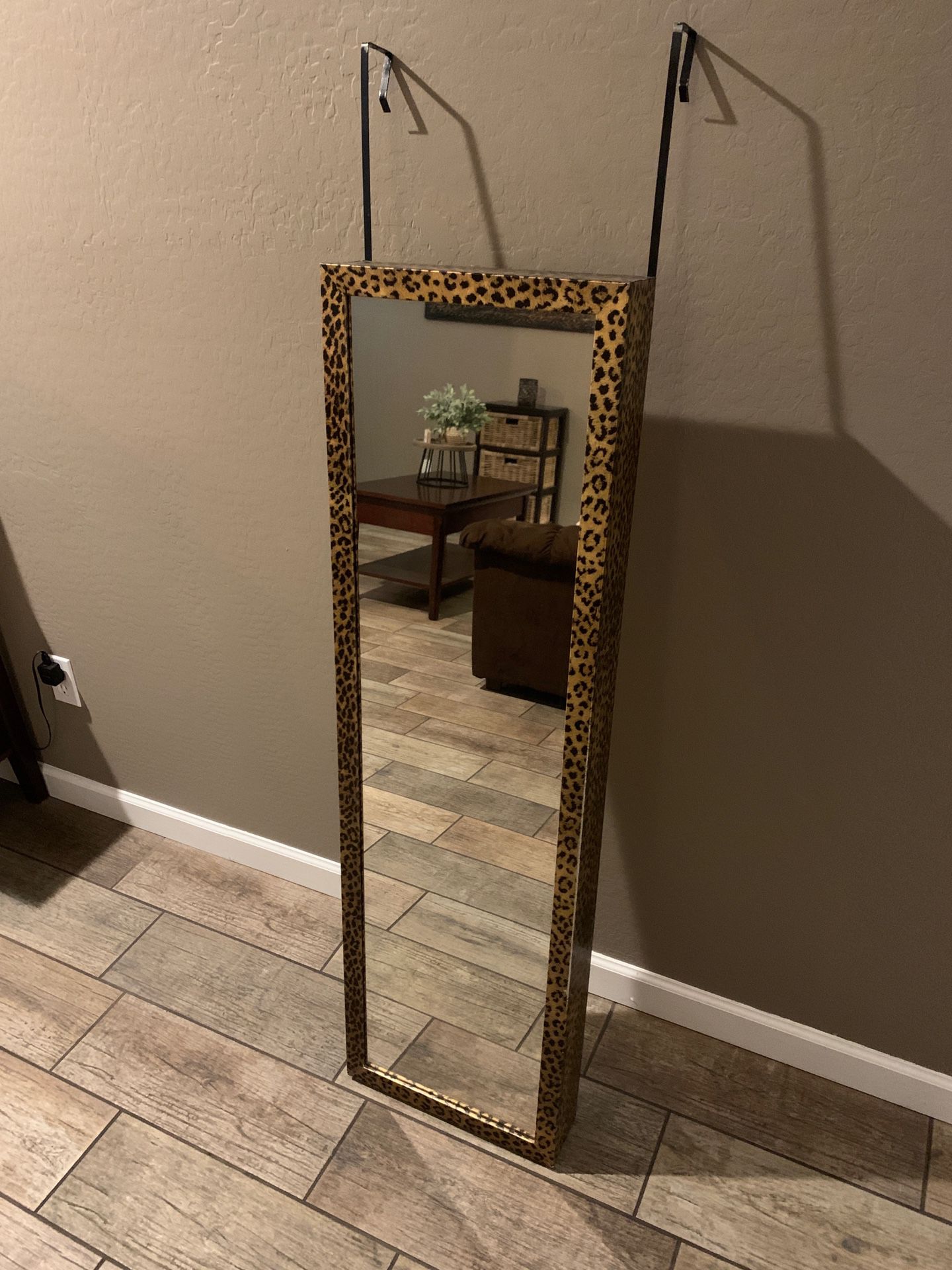 Door mirror cabinet