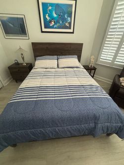 Queen Comforter and Shams