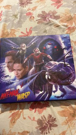 Any-man the wasp