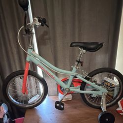 Retrospec Koda Plus 16 in Kids Bike Light Blue Training Wheels Reflectors Steel