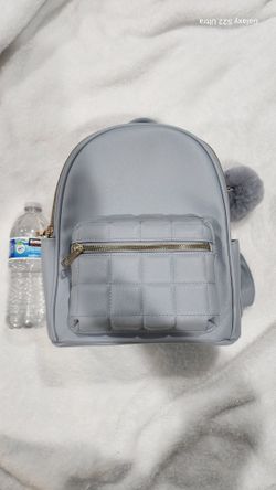 Mini Backpack/Purses