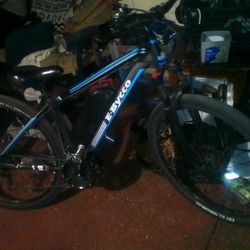 E bike