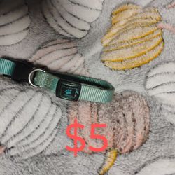 Small Dog/Puppy Collar