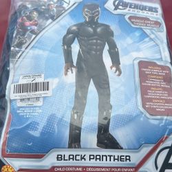 Black Panther Costume 