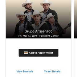 Ticket Grupo Arriesgado
